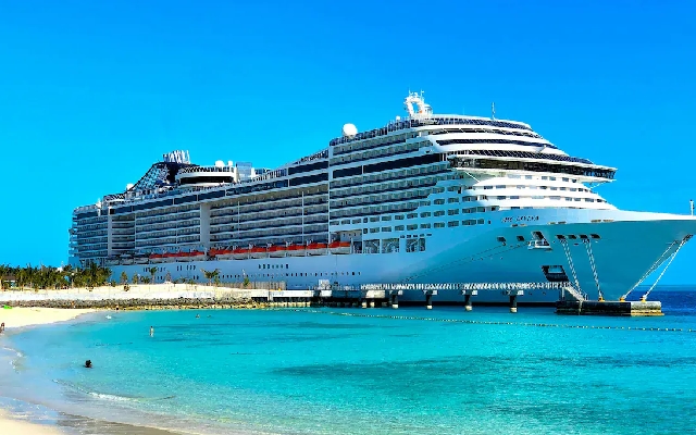 Australian Woman Attacked by Bed Bugs on 70th Birthday Celebration Voyage - News Karnataka