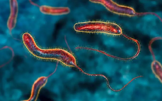 Three Test Positive for Cholera in CM Siddaramaiah’s Constituency - News Karnataka