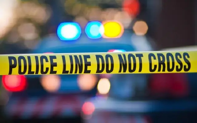 Muzaffarnagar: Woman Sacrifices Nephews on Tantrik's Instructions, Arrested - News Karnataka