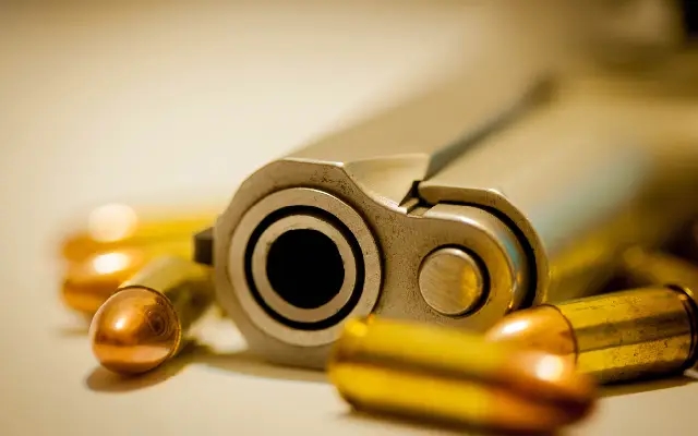 Businessman Shot Dead by Miscreants in Delhi, Video Goes Viral - News Karnataka