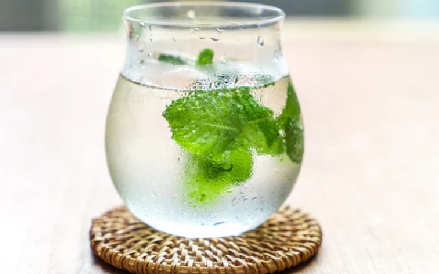 5 Incredible Health Benefits Of Drinking Mint Water - News Karnataka