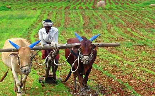 Seed Shortages, High Costs Hinder Sowing Season in North Karnataka - News Karnataka