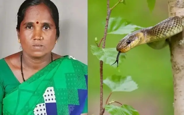 Kalaburgi Woman Dies from Snake Bite While Escaping Rain - News Karnataka