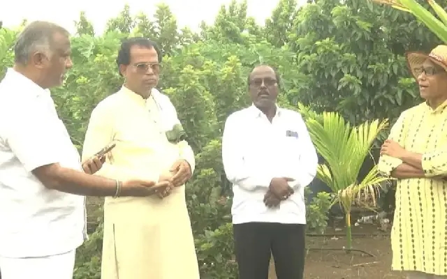 Bidar Farmer Embrace New Crop: Avocado Cultivation Shows Promise - News Karnataka