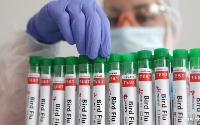First Case of Bird Flu in India: 4-Year-Old in West Bengal Tests Positive - News Karnataka