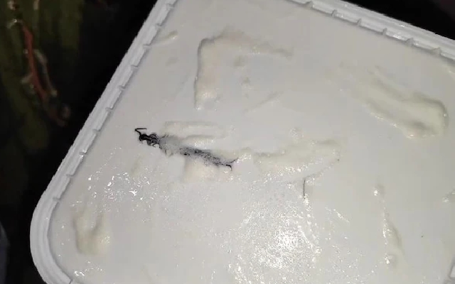 Noida Woman Finds Centipede Inside Amul Ice Cream Tub Ordered Online - News Karnataka