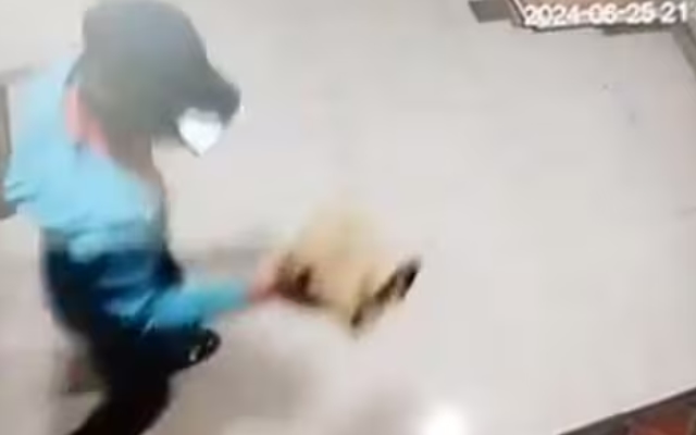 Zomato Delivery Executive Caught Stealing Food on CCTV in Bengaluru - News Karnataka