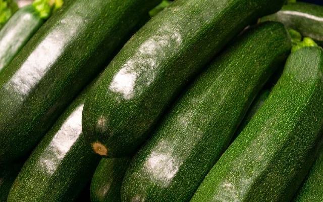 Zucchini: Know THESE 5 benefits of Summer Squash - News Karnataka