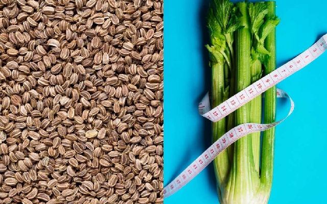 Check out 5 surprising health benefits of celery seeds - News Karnataka