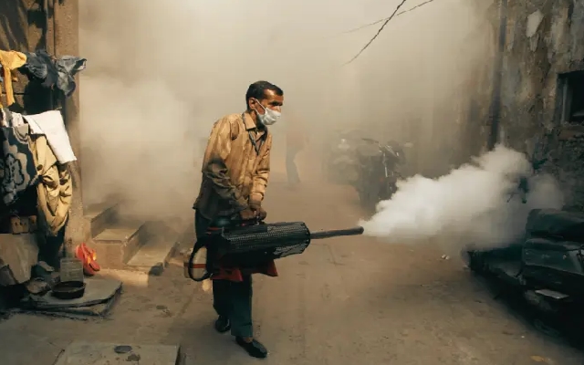 Bengaluru Faces Dengue Surge: 1,000 Cases in 20 Days Raise Alarm - News Karnataka