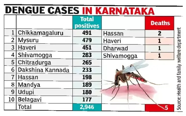 Bengaluru Reports Highest Dengue Cases in Karnataka - News Karnataka