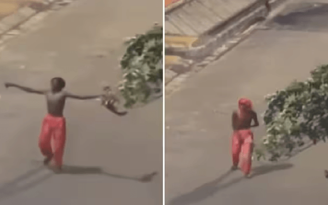 Zomato Delivery Man's Emotional Response to India's T20 WC Win Goes Viral - News Karnataka