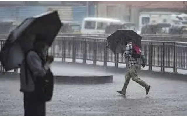 Kodagu District Bans Access to Water Bodies Amid Heavy Rains - News Karnataka