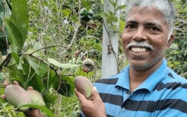 Udupi farmer who makes Rs 3 Lakh/Kg of mangoes from his terrace garden - News Karnataka