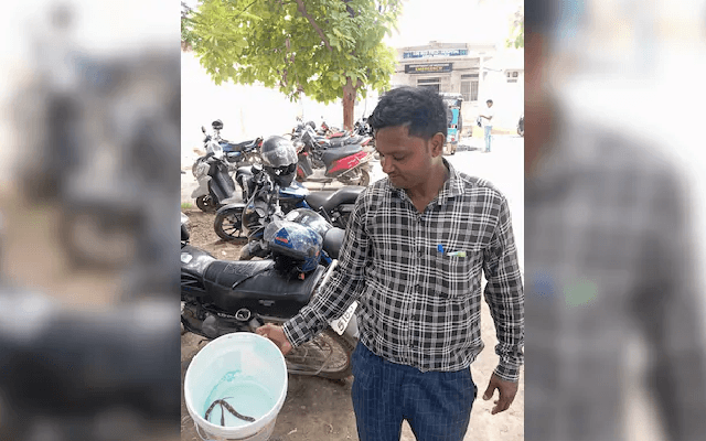 Snake Bites UP Woman, Husband Brings The Reptile To Hospital - News Karnataka