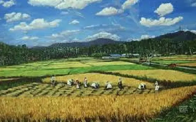 Controversy Over Jamma Land Sales in Kodagu Amid High Court Case - News Karnataka