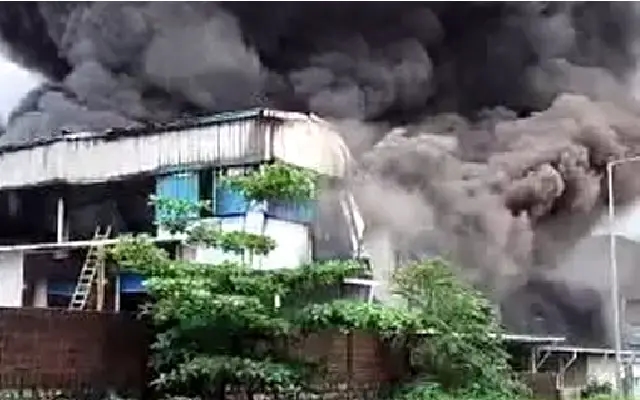 Fire Destroys Fish Products Worth Rs 10 Crore at Surathkal Industrial Unit - News Karnataka