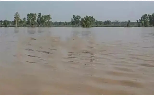 Labourer Washed Away in Overflowing Stream Near Hebri - News Karnataka