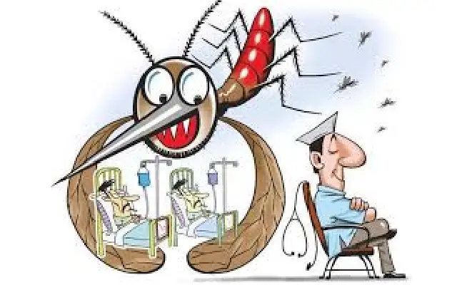 Urgent Measures Against Dengue Outbreak in Dakshina Kannada - News Karnataka