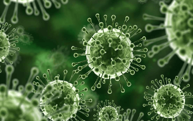 What is Nipah Virus? Causes, Symptoms, Treatment, and More on this Zoonotic Infection - News Karnataka