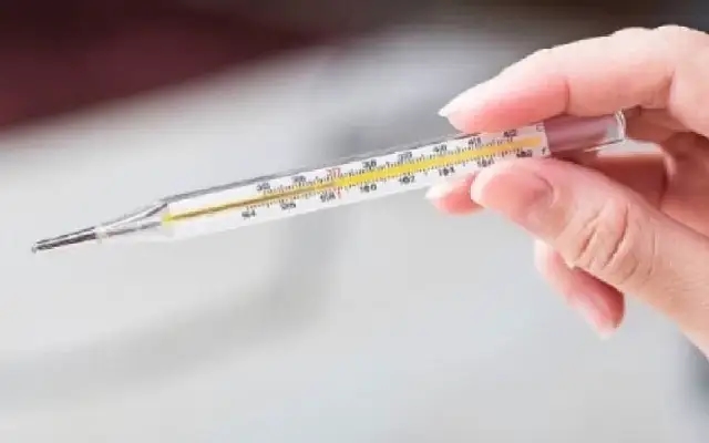 Doctors Warn of Early Influenza Outbreak in Bengaluru Amidst Monsoon - News Karnataka