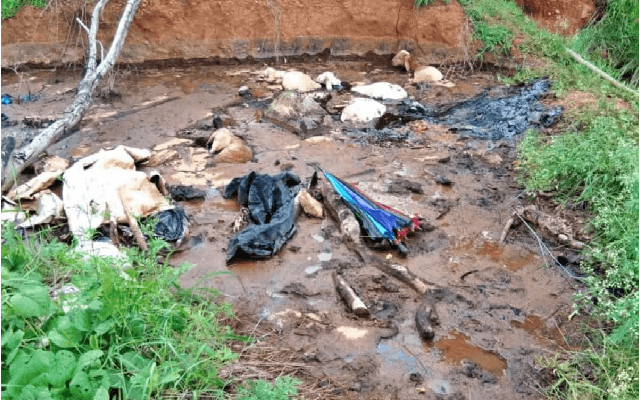NCC Team in Tumkur Rescues Man and Sheep Trapped in Asphalt Pit - News Karnataka