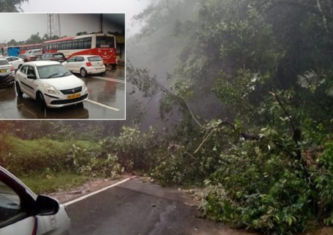 Charmadi Ghati Blocked by Fallen Tree, Traffic Halted - News Karnataka