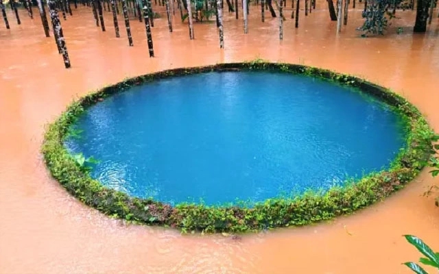 Viral Photo of Uncontaminated Well in Flooded Farm Exposed as Fake News - News Karnataka