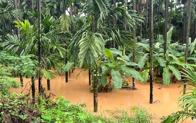 Heavy Rainfall Causes Floods and Landslides in Dakshina Kannada - News Karnataka