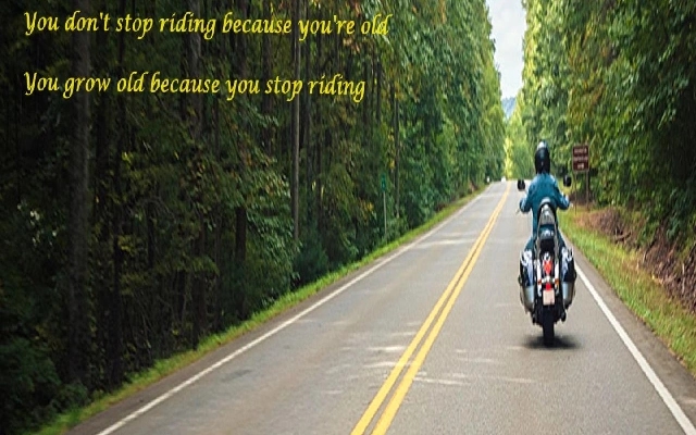 When Life Throws You a Curve Ball: A Solo Bike Ride to Chikmagalur on a Dominar - News Karnataka