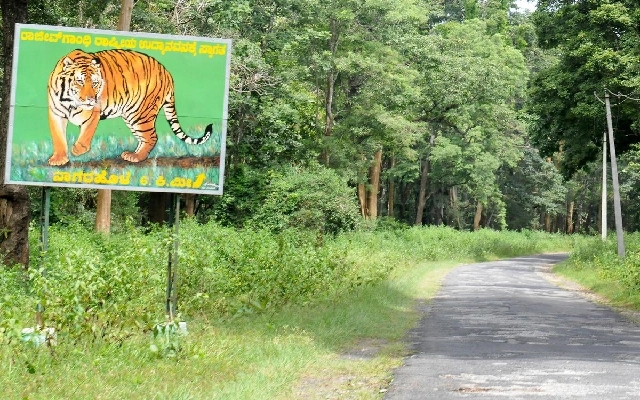 NECF Urges Governor to Revoke Political Appointments to Wildlife Board - News Karnataka
