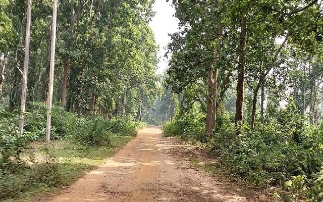 Kodagu Forest Department Cracks Down on 3,000 Forest Encroachment Cases - News Karnataka