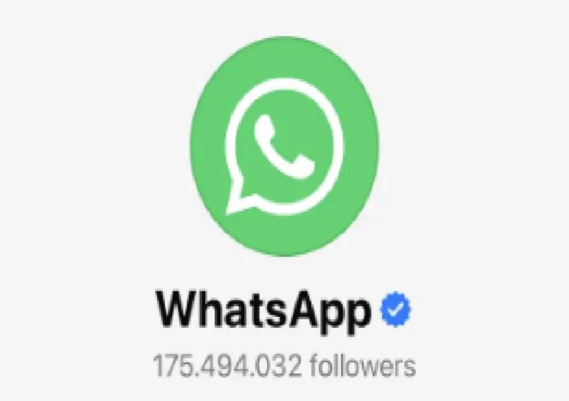 WhatsApp Updates Verification System with Blue Checkmark and Introduces Meta AI - News Karnataka
