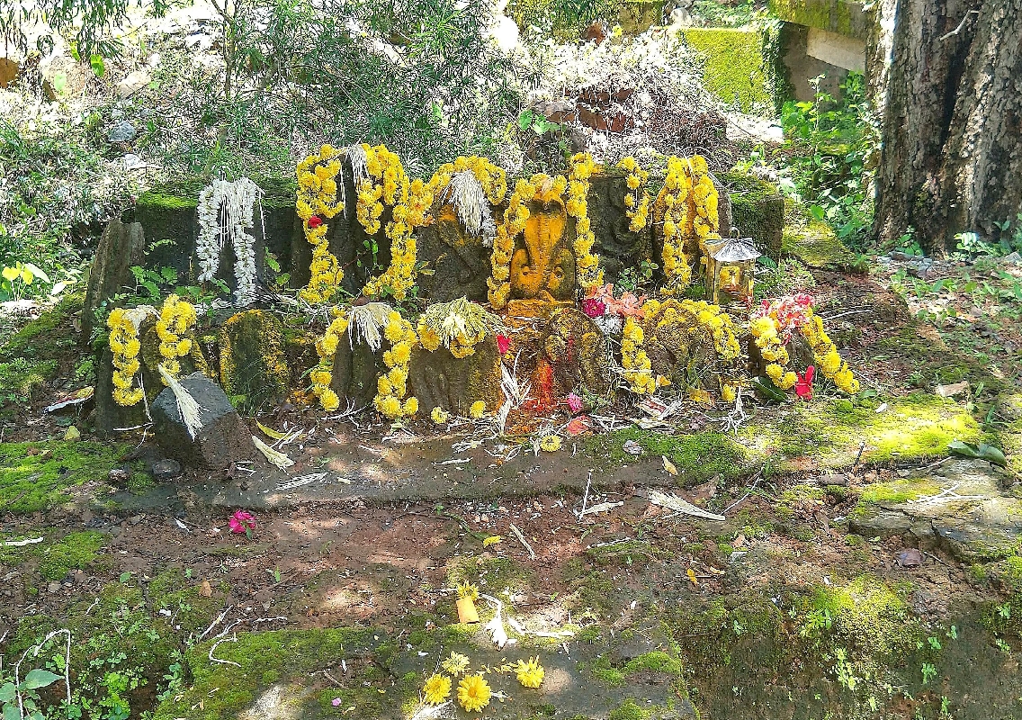 Nagaradhane: The Sacred Serpent Worship of Tulunadu - News Karnataka