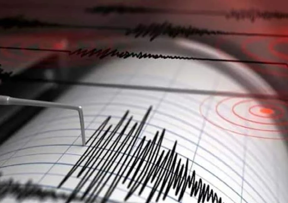 Powerful 7.1 Magnitude Earthquake Hits Japan, Triggering Tsunami Advisory - News Karnataka