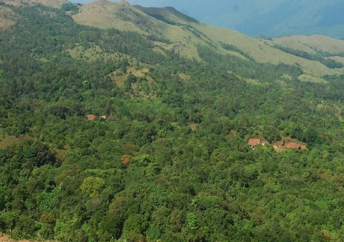 Quarry jolt to 400 acres of Hassan deemed forest - News Karnataka