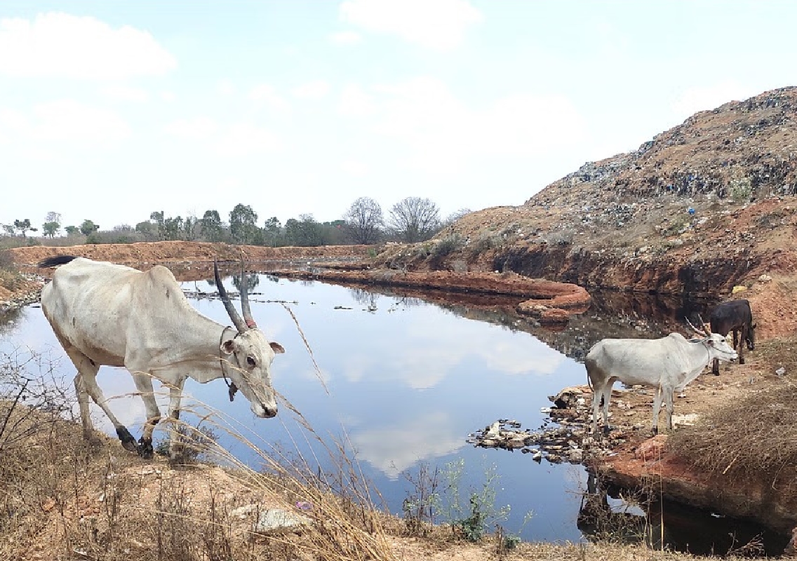 MSGP Infratech Accused of Improper Waste Disposal - News Karnataka