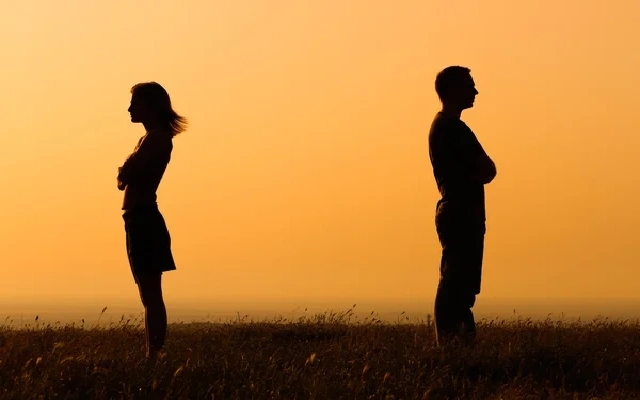 Kerala High Court Orders Counselling for Couple Amid Serious Allegations - News Karnataka