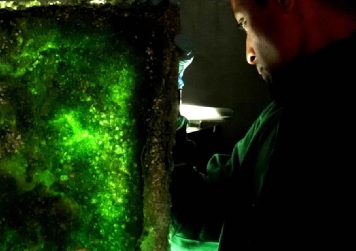 Indian Student at UCL Develops Groundbreaking Carbon-Sequestering Building Material - News Karnataka