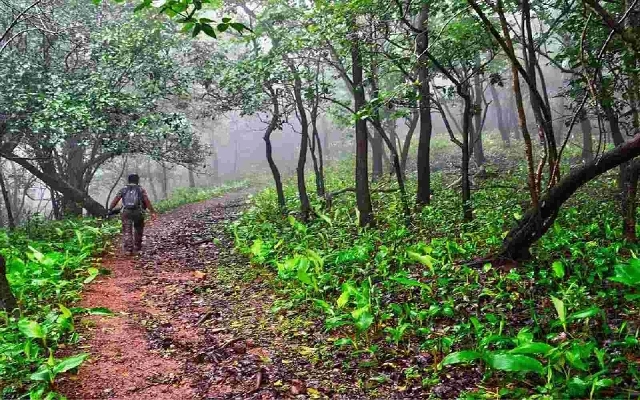Bandh in Sringeri Over Forest Encroachment Clearance Sparks Tensions - News Karnataka