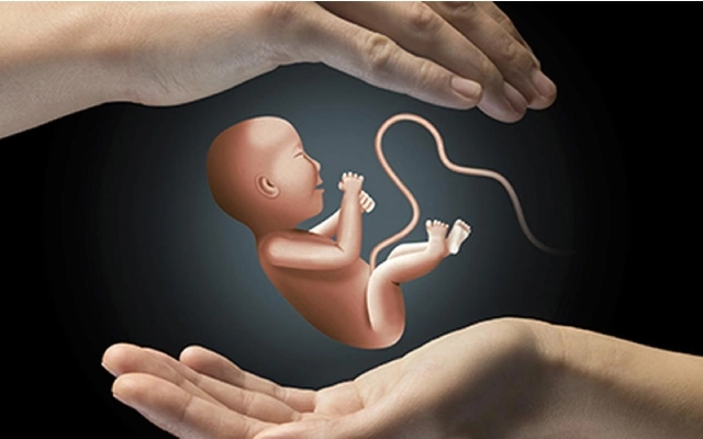 Illegal Female Fetus Detection Resurfaces in Mandya District - News Karnataka