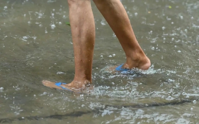 Kerala Sees Surge in Leptospirosis Cases Amid Heavy Monsoon Rains - News Karnataka