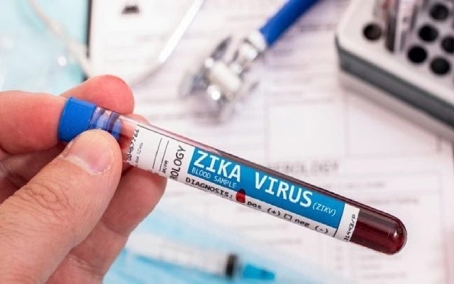 Bengaluru Urban District Reports Six New Zika Virus Cases - News Karnataka