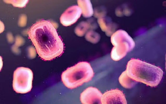 Karnataka Prepared for Mpox Outbreak Amid Low Public Concern - News Karnataka