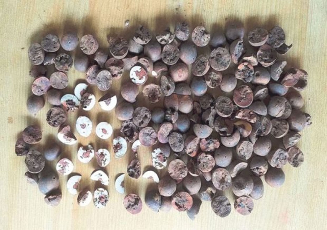 Counterfeit Arecanuts Challenge Indian Market - News Karnataka