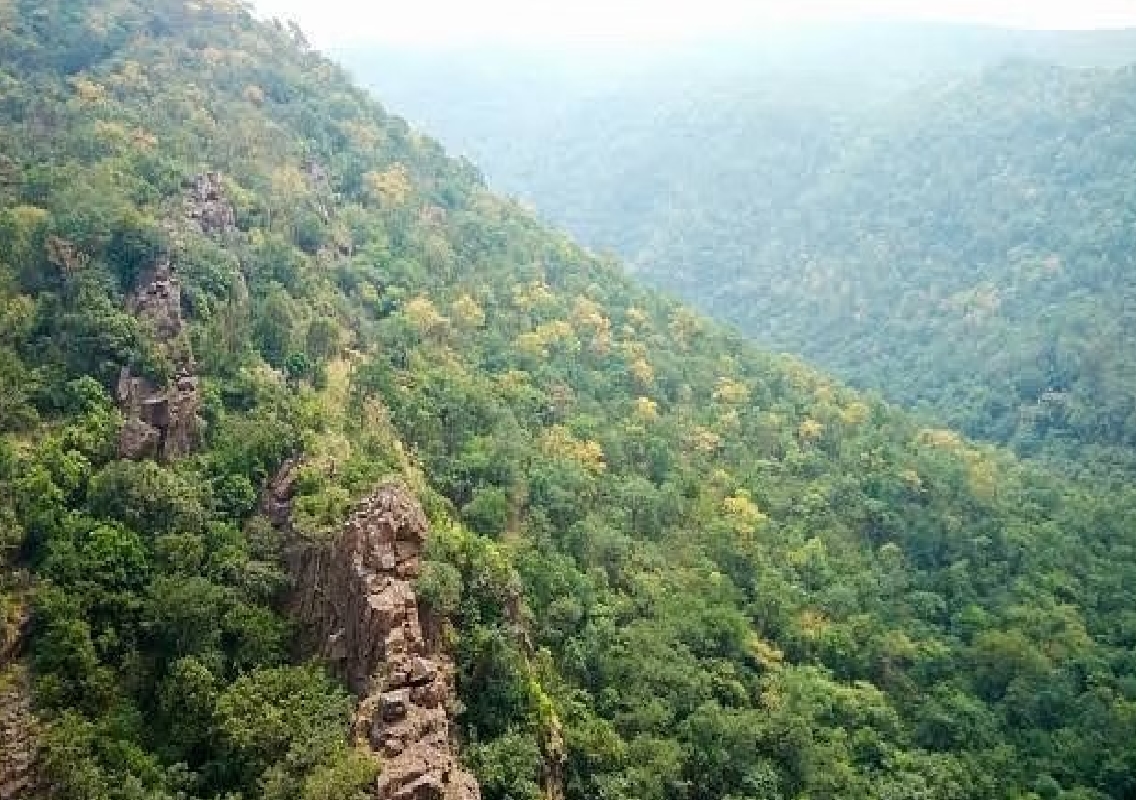 Union Ministry Urges Karnataka to Protect Sandur Virgin Forest - News Karnataka