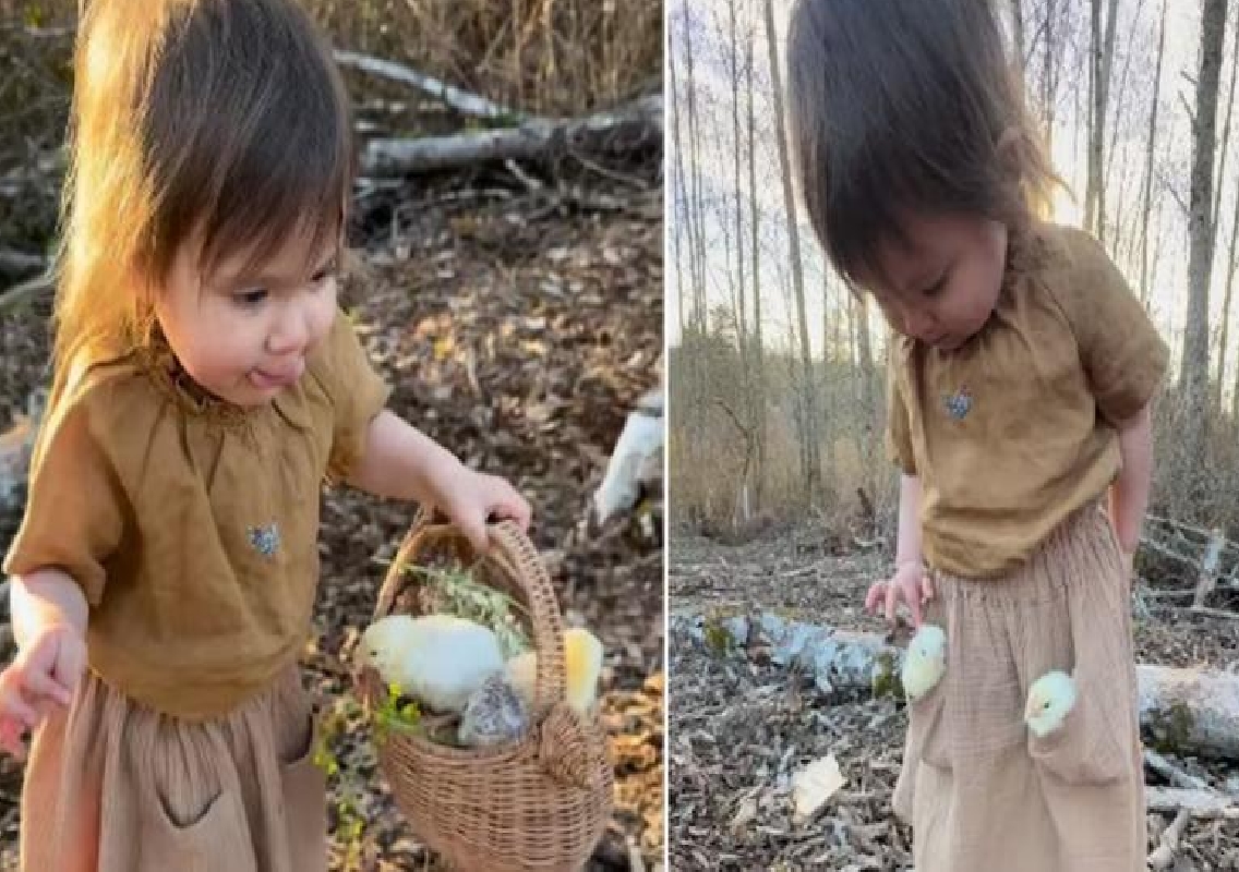 Adorable Video of Little Girl with Chicks Goes Viral, Reaches Over 93 Million Views - News Karnataka
