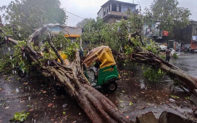 Woman and Her Cattle Killed by Falling Tree During Storm in Kundapur - News Karnataka