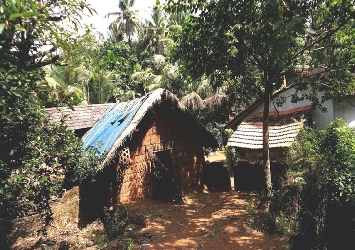 Fresh Hope for Forest Rights Applicants as Government Pushes for Action - News Karnataka