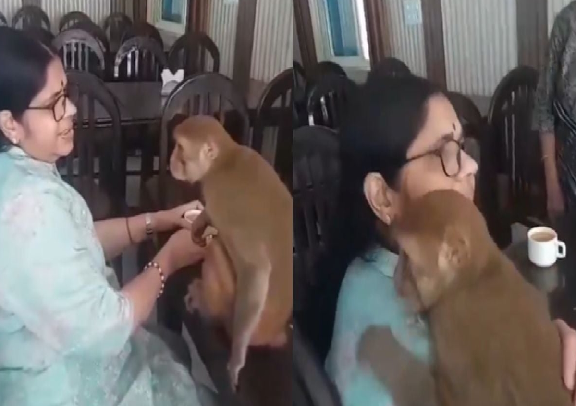 Heartwarming Video Shows Monkey Meditating to Lord Rama Bhajans - News Karnataka
